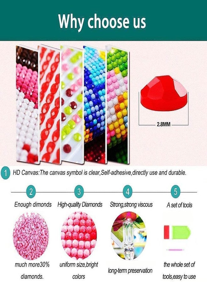OffyBird DIY 5D Diamond Painting by Number Kit, Complete Rhinestone Embroidery Craft Set for Adults and Kids, Perfect for Home Wall Decoration, Ideal Gift for Kids and Adults (Lion) - Image 5